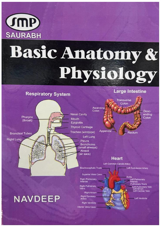 Basic Anatomy and Physiology (HINDI)